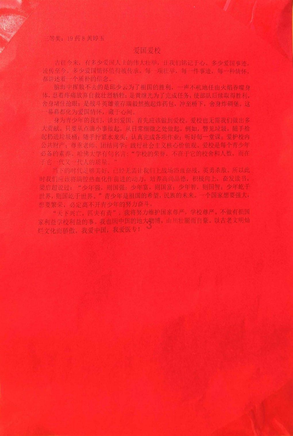 渣渣辉传奇